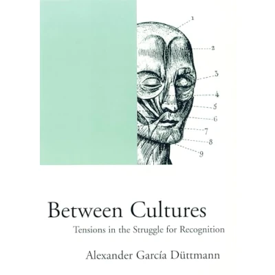 Abbildung von Between Cultures: Tensions in the Struggle for Recognition (Phronesis)