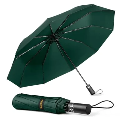 Abbildung von TechRise Regenschirm Taschenschirm Sturmfest Groß 10 Rippen Windsicherer Sturm Schirm, automatisch kompakt mit einem Knopf Öffnen und Schließen