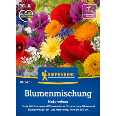 Abbildung von Kiepenkerl Blumensamen Mischung Naturwiese 1072470 Bunte Wildblumen &amp; Kräuter für naturnahe Gärten mehrjährige einjährige Samen Wildblumensamen, Blumenwiese
