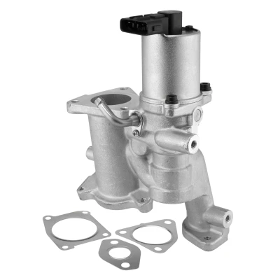 Abbildung von AGR Ventil WAHLER 712020D