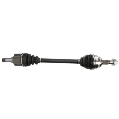 Abbildung von Antriebswelle PASCAL G2P064PC