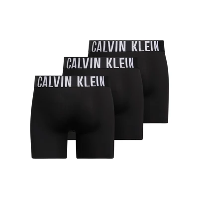 Abbildung von Calvin Klein Underwear Boxer 3 PACK Panties, Herren, Größe: XL, Black