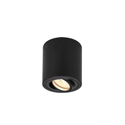 Abbildung von SLV TRILEDO CL, Indoor Deckenaufbauleuchte, QPAR51, schwarz, max 10W, Rund