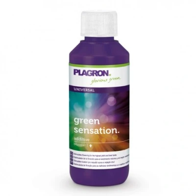 Abbildung von Plagron Green Sensation 100 ml
