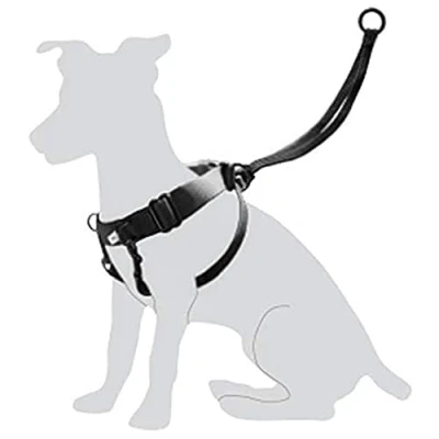 Abbildung von Karlie Hunde Erziehungsgeschirr Easy Walker