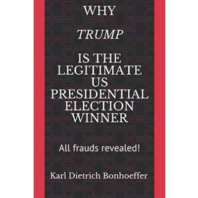 Abbildung von Why Trump is the Legitimate US Presidential Election Winner: All frauds revealed!