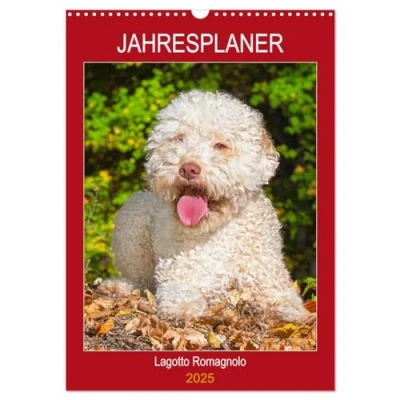 Abbildung von Jahresplaner Lagotto Romagnolo (Wandkalender 2025 DIN A3 hoch), CALVENDO Monatskalender
