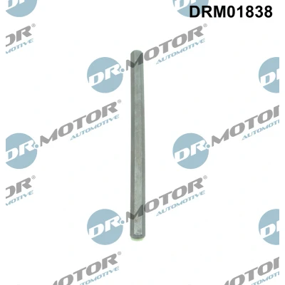 Abbildung von Antriebswelle, Ölpumpe Dr.Motor Automotive DRM01838