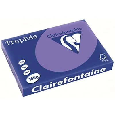 Abbildung von 4 x Clairefontaine Kopierpapier Trophee A3 160g/qm VE=250 Blatt lila