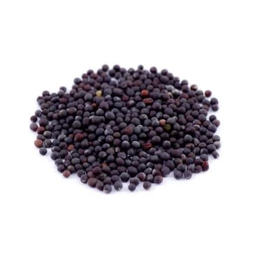 Abbildung von Brokkolisamen BIO, ganz 250g von Dragonspice Naturwaren,