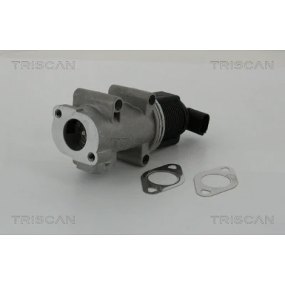 Abbildung von TRISCAN 8813 10005 AGR Ventil elektronisch mit Dichtungen FIAT: BRAVO 2, Doblo I Kombi, Cargo, ALFA ROMEO: 147, 156 Sportwagon