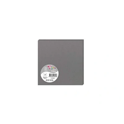 Abbildung von Clairefontaine 1893C Packung (mit 25 Karten Pollen, 135 x mm) 210g, dunkelgrau