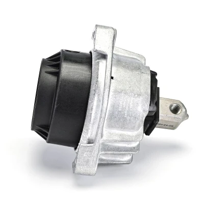 Abbildung von DELPHI TEM255 Motorlager beidseitig BMW: 5 Touring, Limousine, 7