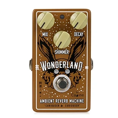 Abbildung von Caline CP 508 Wonderland Reverb Effekt pedale