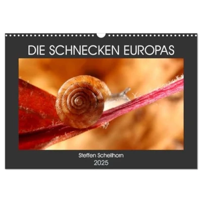 Abbildung von DIE SCHNECKEN EUROPAS (Wandkalender 2025 DIN A3 quer), CALVENDO Monatskalender