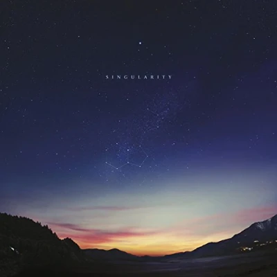 Abbildung von Singularity (2lp+Mp3) [Vinyl LP]
