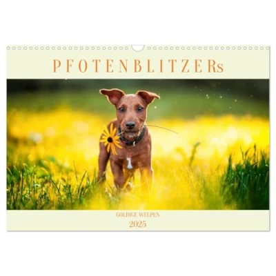 Abbildung von Pfotenblitzers Goldige Welpen (Wandkalender 2025 DIN A3 quer), CALVENDO Monatskalender