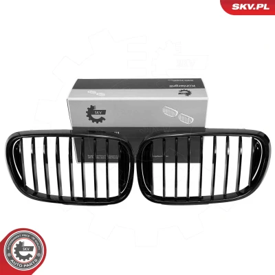 Abbildung von ESEN SKV 66SKV222 Kühlergrill schwarz, glänzend BMW: 3 Limousine, Touring, Compact