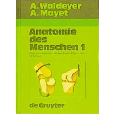 Abbildung von Allgemeine Anatomie. Histologie. Embryologie. Rücken. Bauch. Becken. Bein: Anatomie Allgmeine Histologie ... und praktischen Gesichtspunkten)