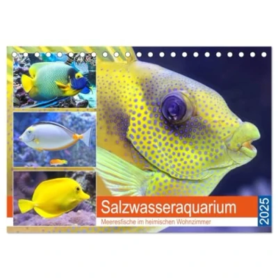 Abbildung von Salzwasseraquarium. Meeresfische im heimischen Wohnzimmer (Tischkalender 2025 DIN A5 quer), CALVENDO Monatskalender