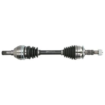 Abbildung von Antriebswelle PASCAL G2X070PC