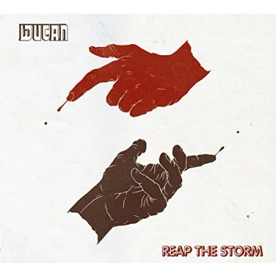 Abbildung von Reap the Storm [Vinyl LP]