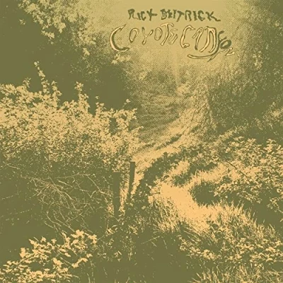 Abbildung von Coyote Canyon [Vinyl LP]