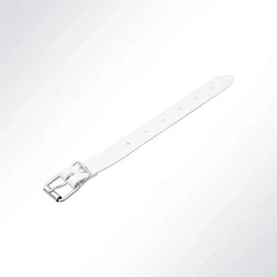 Abbildung von LYSEL® Schnallriemen mit Rollschnalle für Planen Weiß, Länge 200mm VE 10 Stück