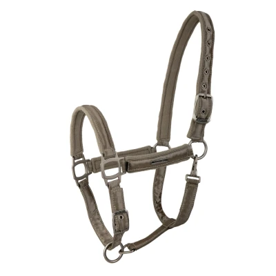 Abbildung von Lami Cell Halfter Aurora Champagne Warmblut