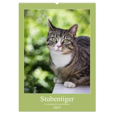 Abbildung von Stubentiger (Wandkalender 2025 DIN A2 hoch), CALVENDO Monatskalender
