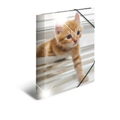 Abbildung von HERMA Sammelmappe Glossy Tiere A4 PP Katzen