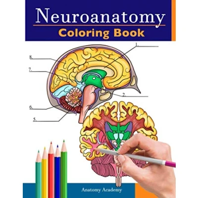 Abbildung von Neuroanatomy Coloring Book: Incredibly Detailed Self Test Human Brain Book for Neuroscience Perfect Gift Medical School Students, Nurses, Doctors and Adults