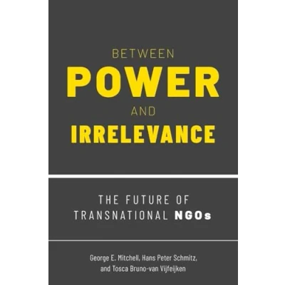 Abbildung von Between Power and Irrelevance: The Future of Transnational NGOs