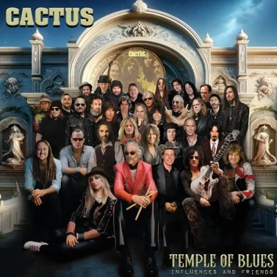 Abbildung von Temple Of Blues [Vinyl LP]