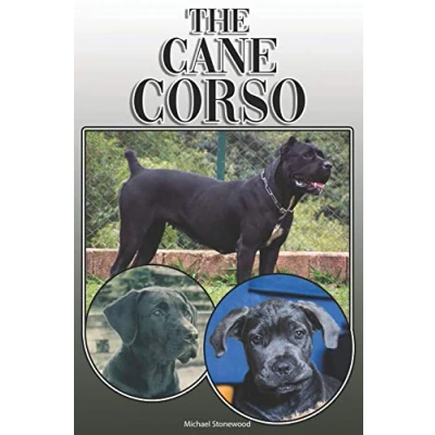 Abbildung von The Cane Corso: A Complete and Comprehensive Owners Guide to: Buying, Owning, Health, Grooming, Training, Obedience, Understanding Caring for Your Corso