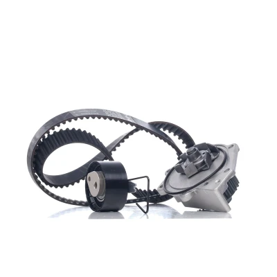 Abbildung von INA 530 0376 30 Wasserpumpe + Zahnriemensatz mit MG: MG TF Cabrio, MGF LAND ROVER: Freelander I SUV, 75