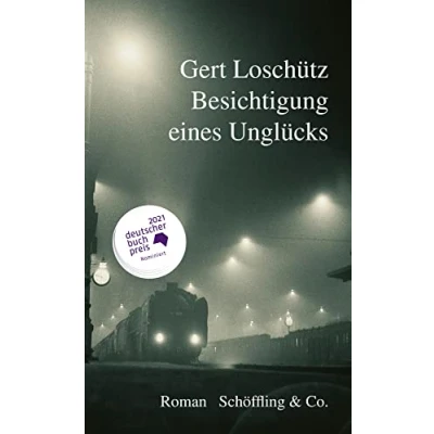 Abbildung von Besichtigung eines Unglücks: Roman Nominiert für den Deutschen Buchpreis 2021