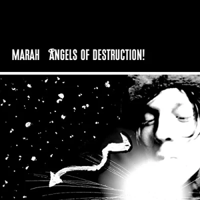 Abbildung von Angels of Destruction [Vinyl LP]
