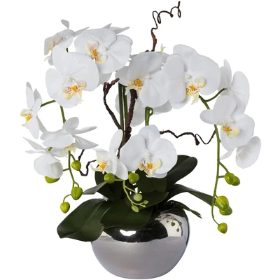 Abbildung von Creativ green Kunstorchidee &quot;Phalaenopsis&quot;, im Keramiktopf