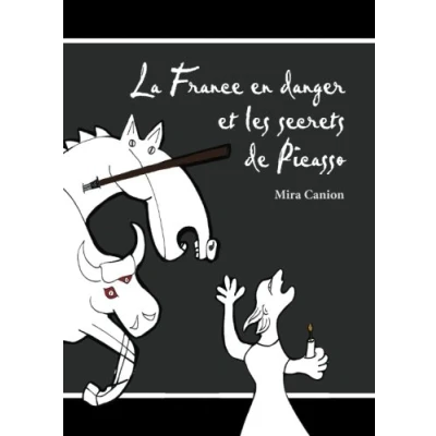 Abbildung von La France en danger et les secrets de Picasso