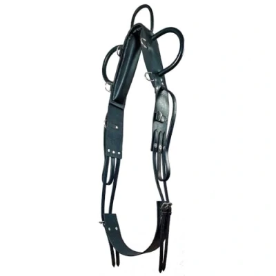 Abbildung von Brama West Voltigiergurt und Reitlerngurt Training schwarz Gr. Full