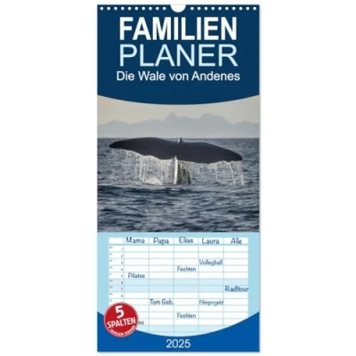 Abbildung von Familienplaner 2025 Die Wale von Andenes mit 5 Spalten (Wandkalender, 21 cm x 45 cm), CALVENDO