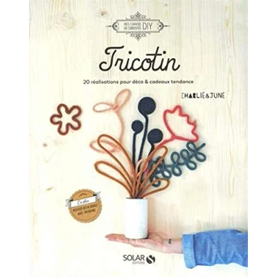 Abbildung von Tricotin 20 réalisations pour déco &amp; cadeaux tendance