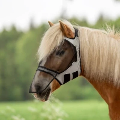 Abbildung von Busse Fliegenmaske Fly Guard Free Plus