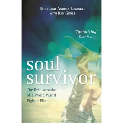 Abbildung von Soul Survivor: The Reincarnation of a World War II Fighter Pilot
