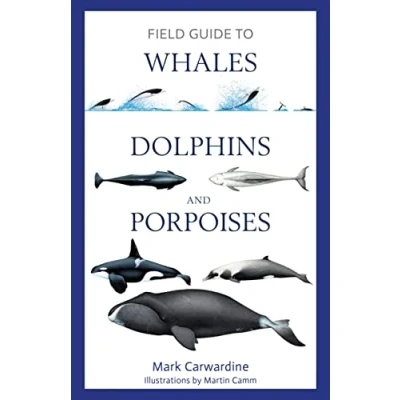 Abbildung von Field Guide to Whales, Dolphins and Porpoises (Bloomsbury Naturalist)