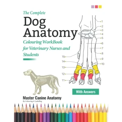 Abbildung von The Complete Dog Anatomy Colouring WorkBook For Veterinary Nurses and Students Master Canine By Learning Colouring: Perfect ... Gifts &amp; Presents VET Lovers, Girls
