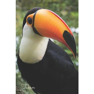 Abbildung von Tukan: Notizbuch / Tagebuch Vogel DIN A5 120 Seiten punktiert Punkteraster Geschenk Vogelliebhaber