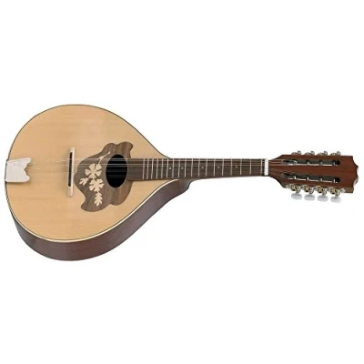 Abbildung von GEWA Flachmandoline Pro Arte Model 2 Hochglanz Made in Europe