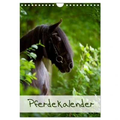 Abbildung von Pferdekalender (Wandkalender 2025 DIN A4 hoch), CALVENDO Monatskalender
